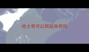 哈士奇可以围起来养吗