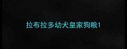 拉布拉多幼犬皇家狗粮