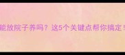 边牧能放院子养吗这5个关键点帮你搞定