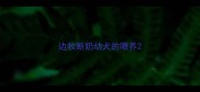 边牧断奶幼犬的喂养