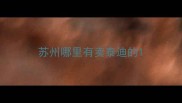 苏州哪里有卖泰迪的
