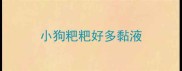 小狗粑粑好多黏液