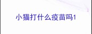 小猫打什么疫苗吗