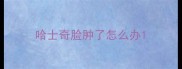 哈士奇脸肿了怎么办