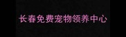 长春免费宠物领养中心