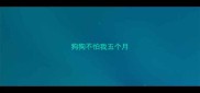 狗狗不怕我五个月