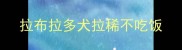 拉布拉多犬拉稀不吃饭
