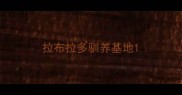 拉布拉多驯养基地