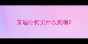 泰迪小狗买什么狗粮