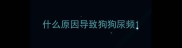 什么原因导致狗狗尿频