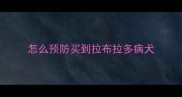 怎么预防买到拉布拉多病犬