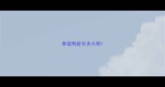 泰迪狗能长多大呢