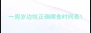 一周岁边牧正确喂食时间表