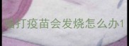 猫打疫苗会发烧怎么办