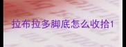拉布拉多脚底怎么收拾