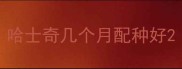 哈士奇几个月配种好