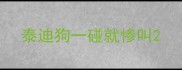 泰迪狗一碰就惨叫