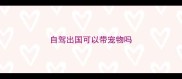 自驾出国可以带宠物吗