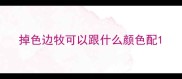 掉色边牧可以跟什么颜色配
