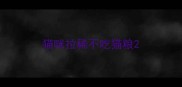 猫咪拉稀不吃猫粮