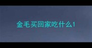 金毛买回家吃什么
