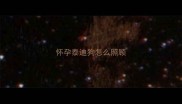 怀孕泰迪狗怎么照顾