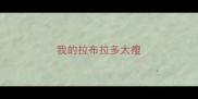 我的拉布拉多太瘦