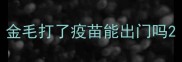 金毛打了疫苗能出门吗