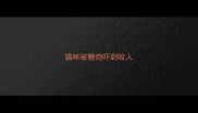 猫咪被鞭炮吓到咬人