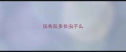 拉布拉多长虫子么