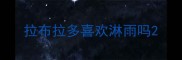 拉布拉多喜欢淋雨吗