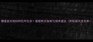 哪里能买到纯种拉布拉多最新购买指南与领养建议附权威犬舍名单
