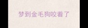 梦到金毛狗咬着了