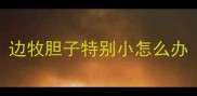 边牧胆子特别小怎么办
