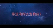 带流浪狗去宠物店