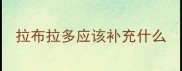 拉布拉多应该补充什么