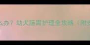 小狗胃胀气怎么办幼犬肠胃护理全攻略附安全用药清单