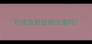 打疫苗前给狗洗澡吗