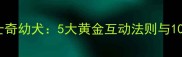 如何科学陪伴哈士奇幼犬5大黄金互动法则与10种安全游戏指南
