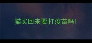 猫买回来要打疫苗吗