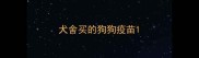 犬舍买的狗狗疫苗