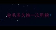 金毛多久换一次狗粮