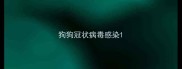 狗狗冠状病毒感染