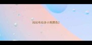 纯拉布拉多小狗黑色