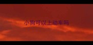 小狗可以上动车吗