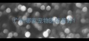 广州哪家宠物医院最好