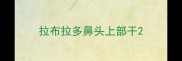 拉布拉多鼻头上部干