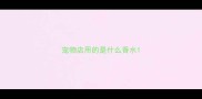宠物店用的是什么香水