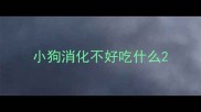 小狗消化不好吃什么