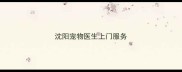 沈阳宠物医生上门服务